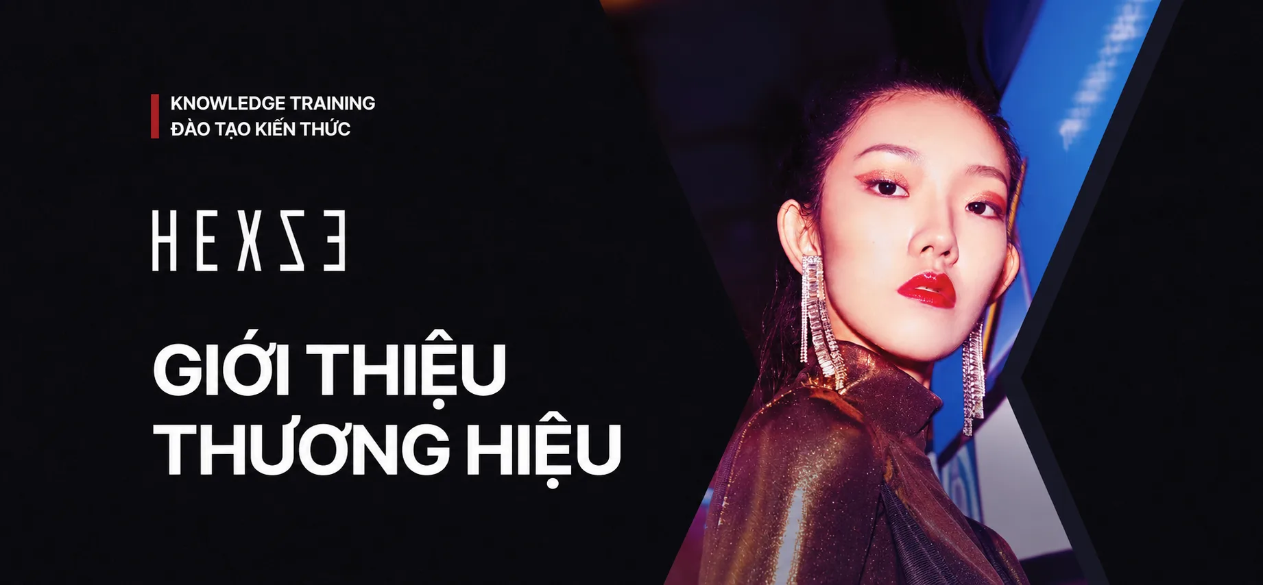 HEXZE banner 1